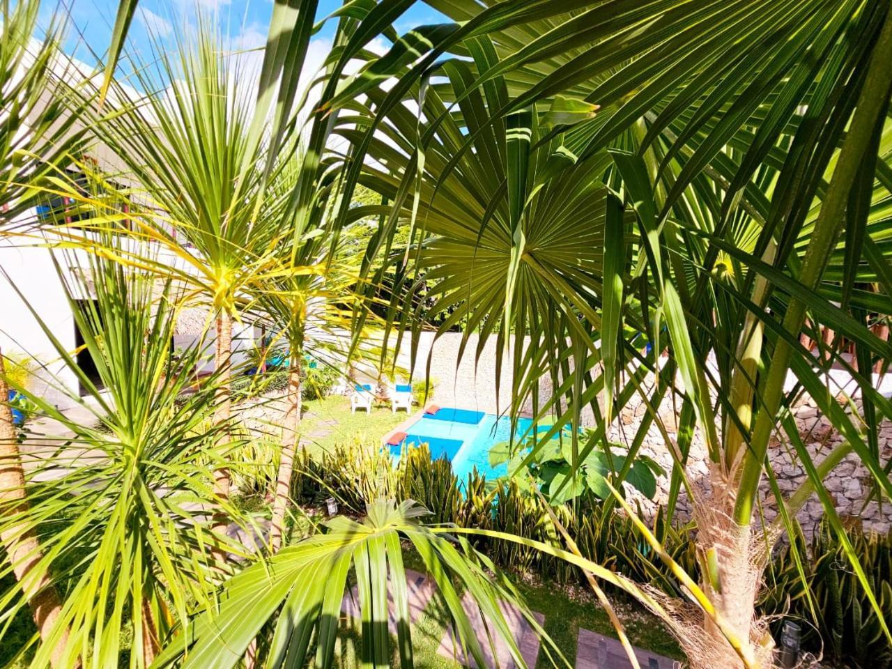 Mayan Majesty Boutique Hotel 巴利亚多利德 外观 照片